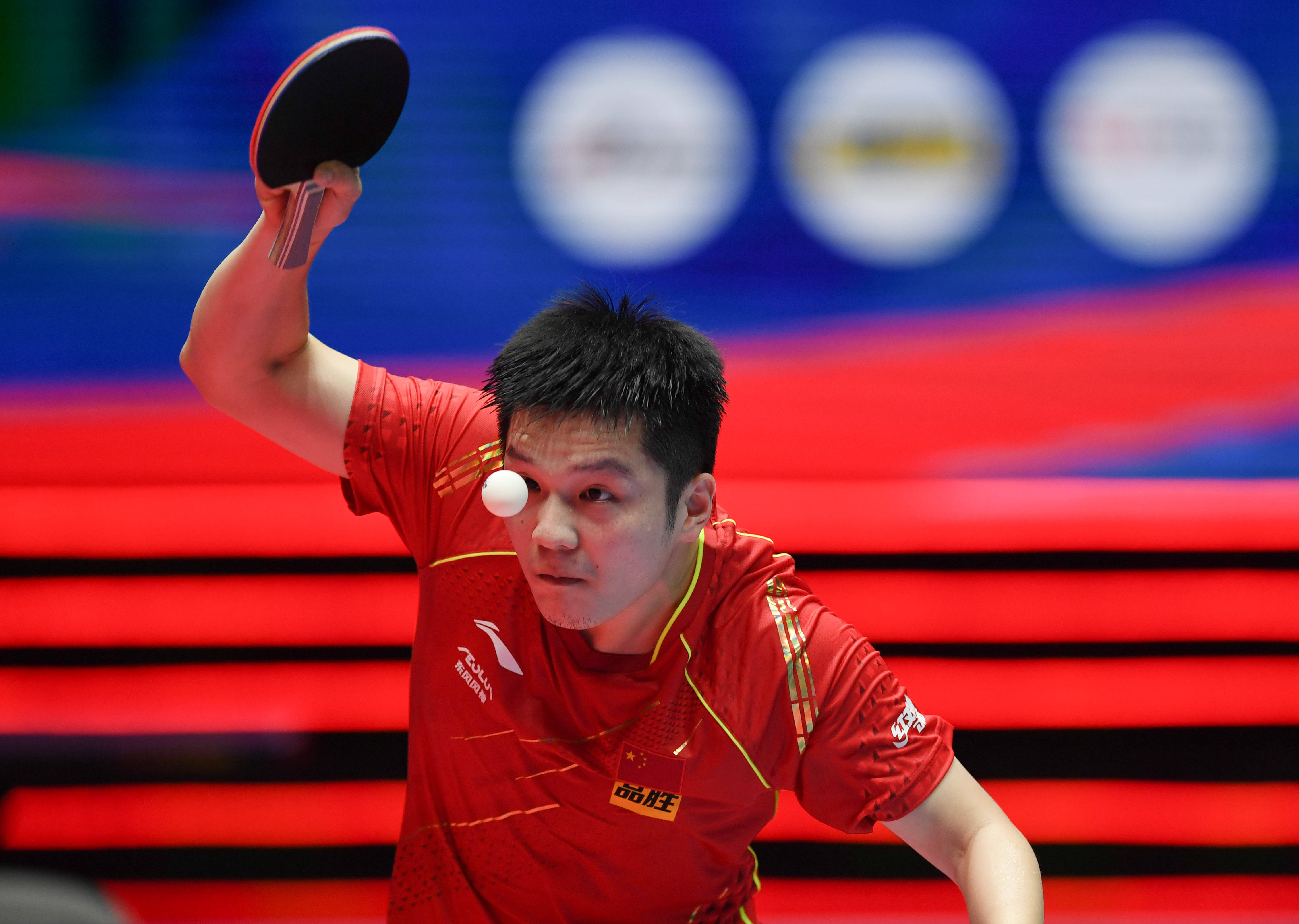 为观众带来 为观众带来